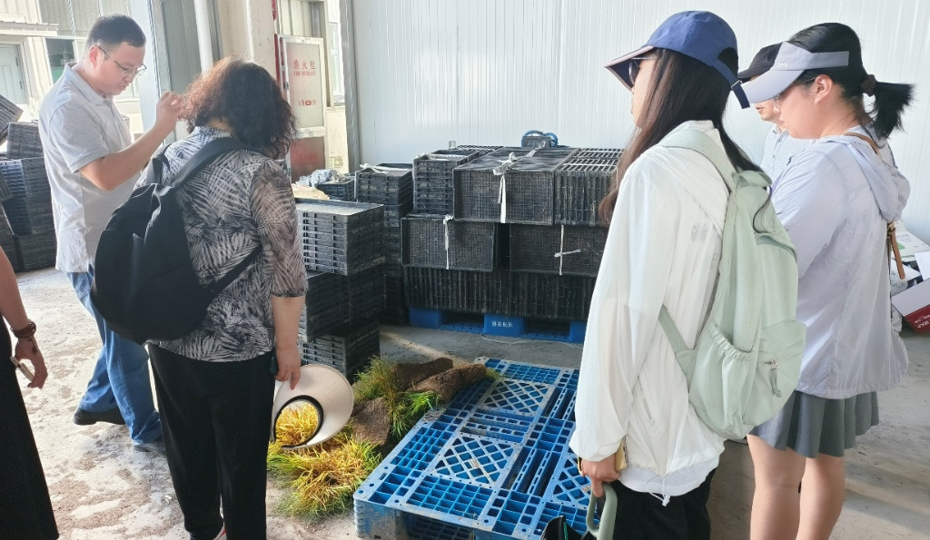 青春助农业，校企政同行——江南大学“浙里浔光”实践团走访湖州双林镇农业企业